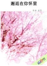 邂逅在你怀里
