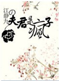 夫君是疯子