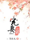 宠妻之路
