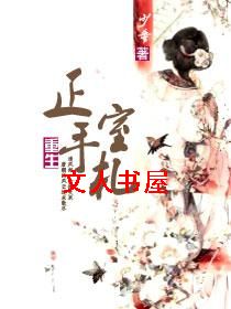 重生正室手札(清)