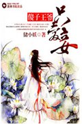 傻子王爷只爱妾