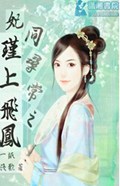妃同寻常之瑾上飞凤