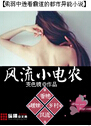 风流小电农
