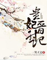 贵妃晋升记