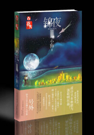 锦夜2