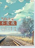 当你决定不爱我