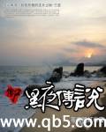 僵尸黑夜传说
