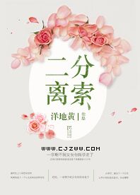 二分离索