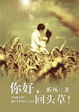 你好,回头草!