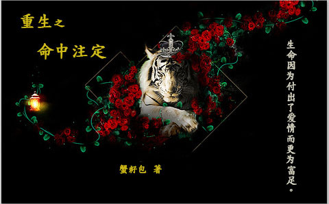 hp重生之命中注定
