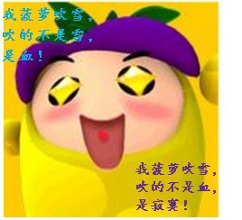(综武侠同人)菠萝要吹雪!