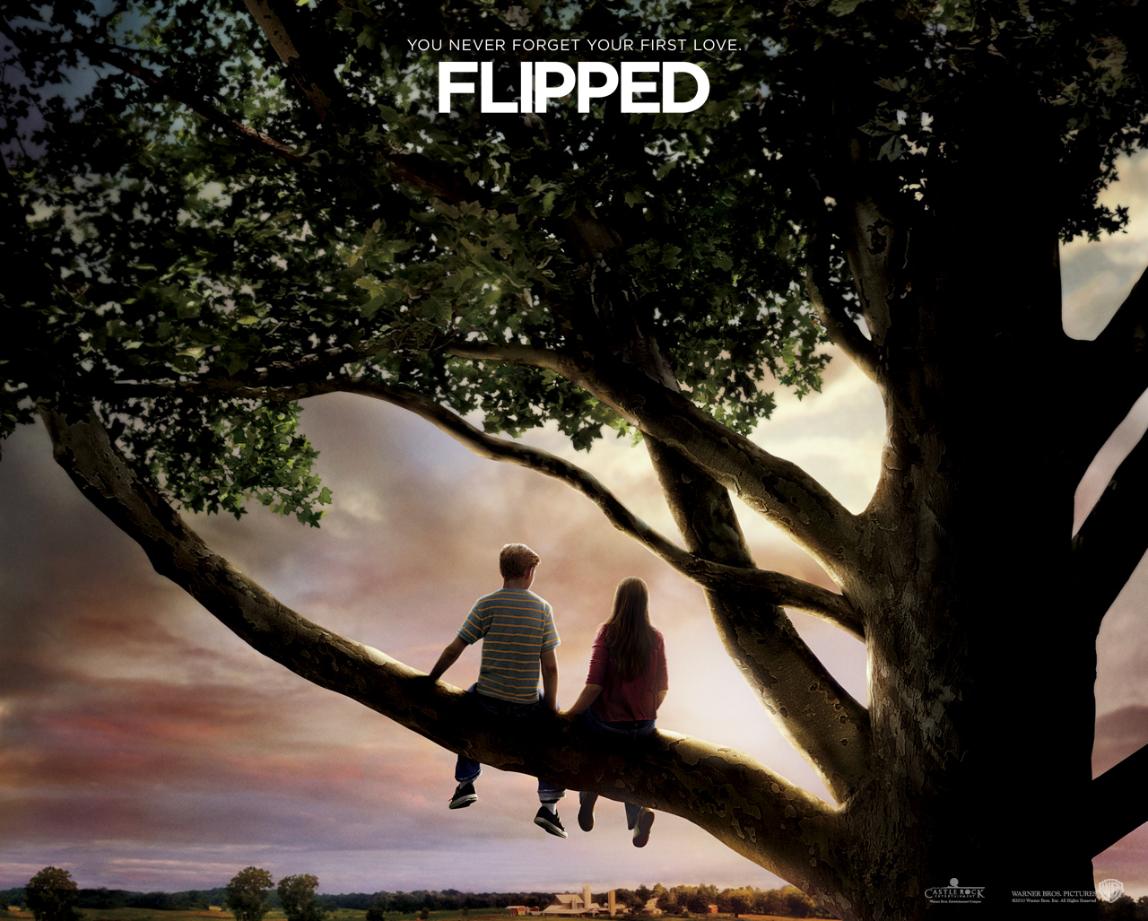 flipped(Ӣİ)txt