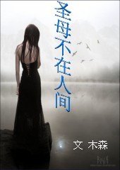 圣母不在人间