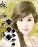 极品总裁宝贝妻