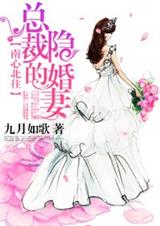南心北往,总裁的隐婚妻