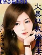 火暴总裁娇柔妻 全