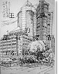 王二憨的都市爱情