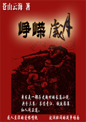 峥嵘岁月