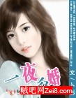 一夜后婚