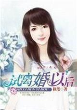 试离婚以后