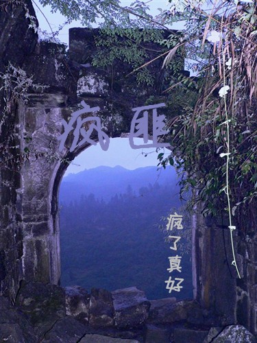 疯匪