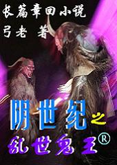 长篇章回小说阴世纪