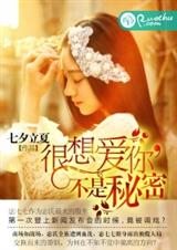 很想爱你,不是秘密