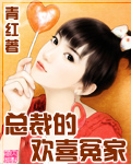 总裁的欢喜冤家