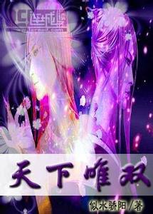 倾世·天下为双