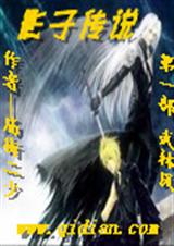 影子传说之武林风