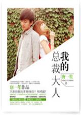 我的老公大人-我的总裁大人