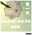 有一天,我会和你一起看月夜的彩虹