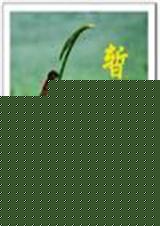 ƿ  ѩtxt