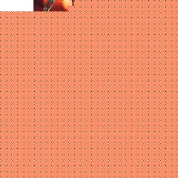 ʦִλһ txt