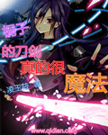 (刀剑神域同人)桐子的刀剑真的很魔法