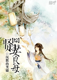 (综同人)贤妻良母人