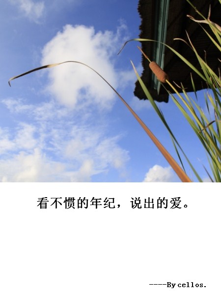 看不惯的年纪,说出的爱.