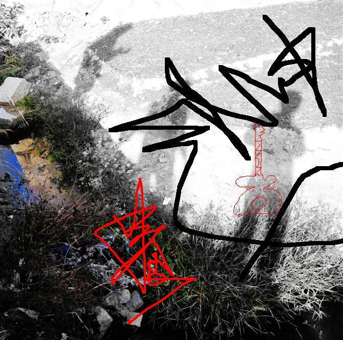 荒
