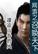 网游之召唤天下凄凉山谷的风 著
