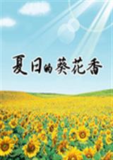 夏日的葵花香