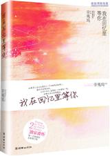 我在回忆里等你 辛夷坞