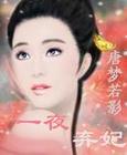 万世劫:一夜弃妃