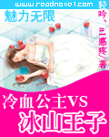 魅力无限:冷血公主vs冰山王子