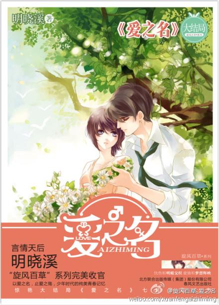 旋风少女爱之名