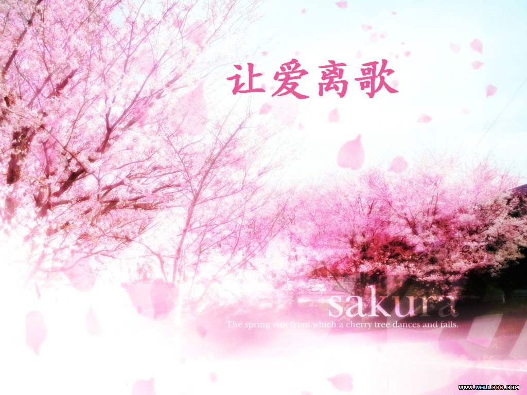 让爱离歌