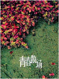 遗落了花絮