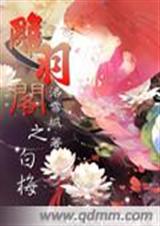 雕羽阁之白梅