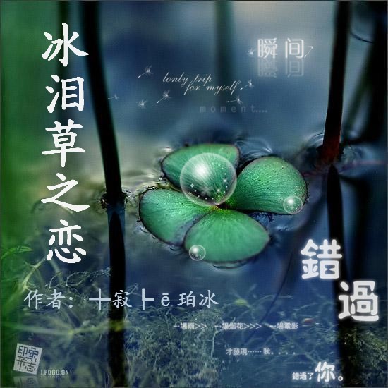 冰泪草之恋