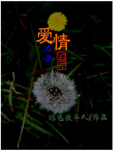 爱在前,情在后(悉尼留学故事)