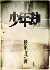 少年劫